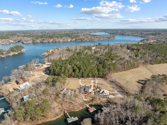 birds eye view of property with a water view and a wooded view