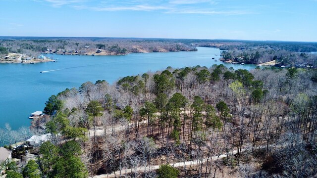 116 Lake Ln, Jasper, AL 35504 - photo 12