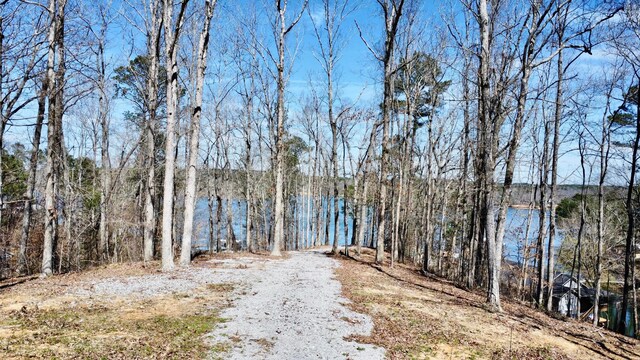 116 Lake Ln, Jasper, AL 35504 - photo 17
