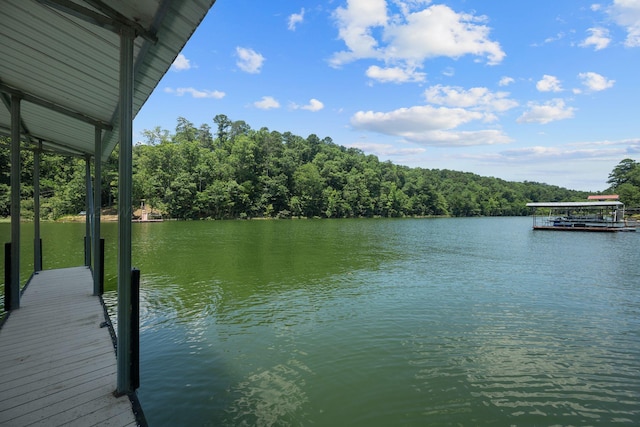 2350 County Road 255, Cullman, AL 35055 - photo 36