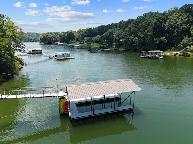 2350 County Road 255, Cullman, AL 35055 - photo 33