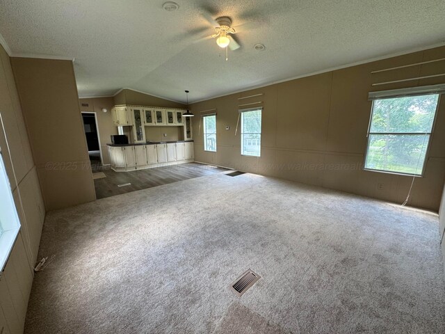 8502 Old Bagley Rd, Dora, AL 35062 - unfurnished living room featuring vaulted ceiling, dark carpet, a ceiling fan, and a textured ceiling