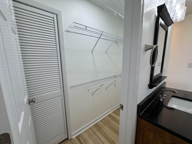 8502 Old Bagley Rd, Dora, AL 35062 - spacious closet featuring light wood-type flooring and a sink