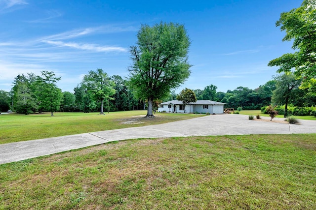 view of yard