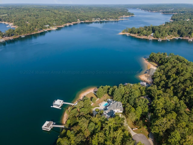 55 County Road 142, Crane Hill, AL 35053 - photo 8
