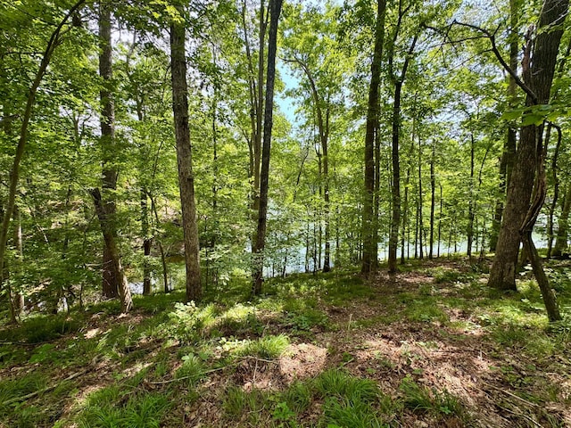 999 County Rd 3134, Houston, AL 35572 - photo 13