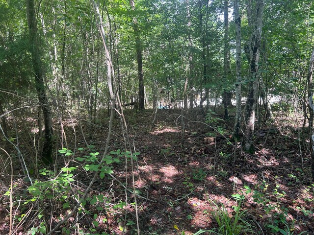 LOT51 Stoney Pt, Double Springs, AL 35553 - photo 12