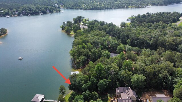 LOT51 Stoney Pt, Double Springs, AL 35553 - photo 6