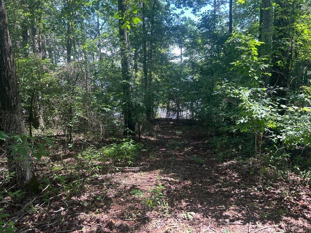 LOT51 Stoney Pt, Double Springs, AL 35553 - photo 15
