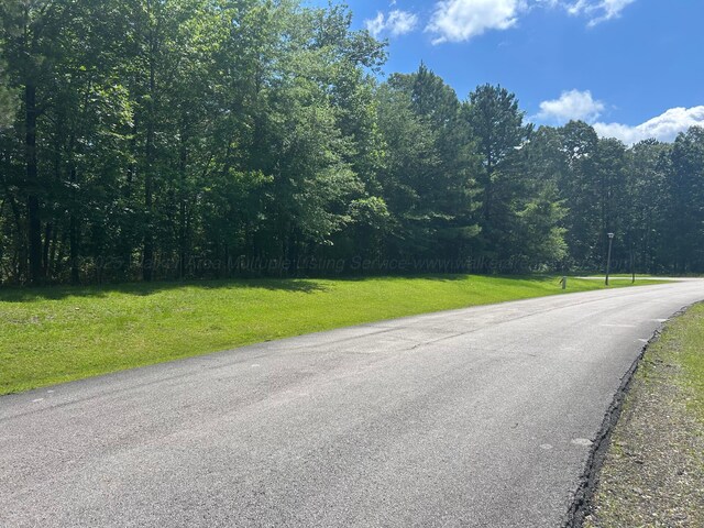 LOT51 Stoney Pt, Double Springs, AL 35553 - photo 19