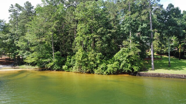 LOT51 Stoney Pt, Double Springs, AL 35553 - photo 1