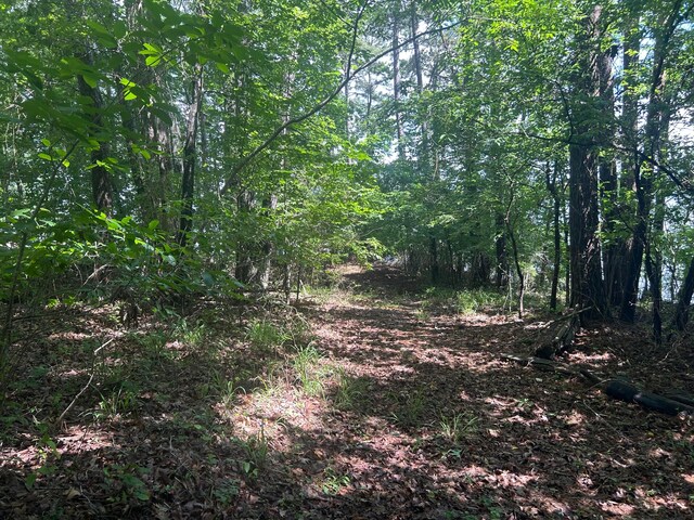 LOT51 Stoney Pt, Double Springs, AL 35553 - photo 16