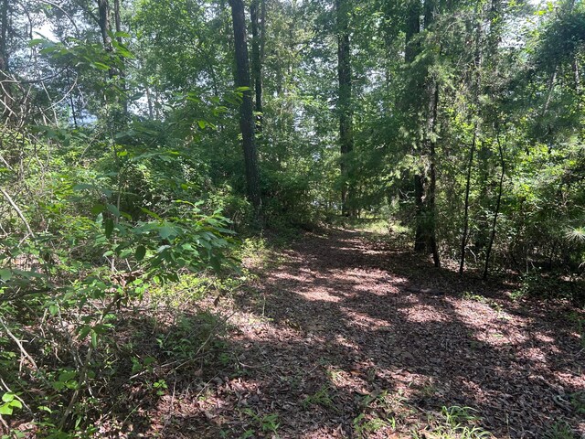 LOT51 Stoney Pt, Double Springs, AL 35553 - photo 13