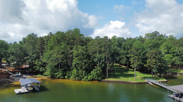 LOT51 Stoney Pt, Double Springs, AL 35553 - photo 2
