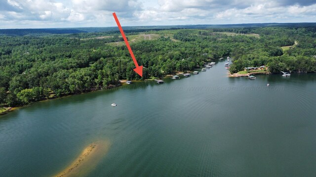 LOT51 Stoney Pt, Double Springs, AL 35553 - photo 9
