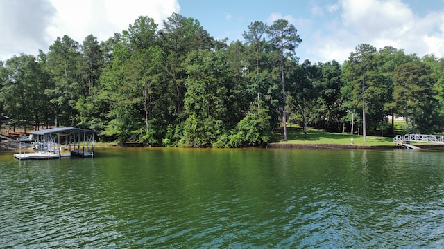 LOT51 Stoney Pt, Double Springs, AL 35553 - photo 3