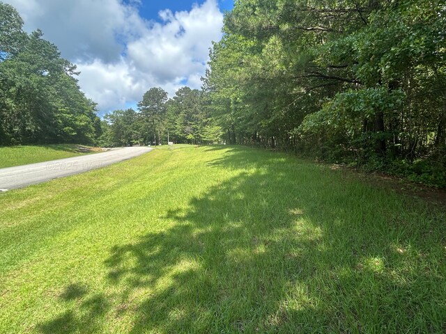 LOT51 Stoney Pt, Double Springs, AL 35553 - photo 20