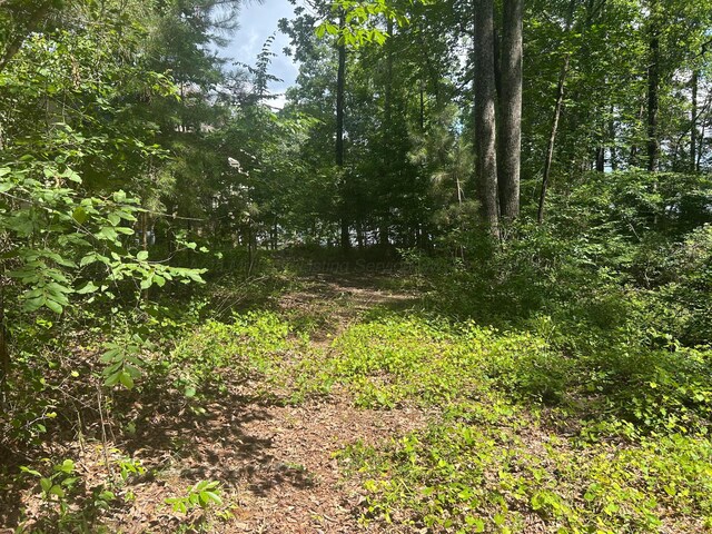LOT51 Stoney Pt, Double Springs, AL 35553 - photo 14
