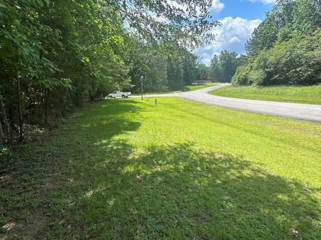 LOT51 Stoney Pt, Double Springs, AL 35553 - photo 10