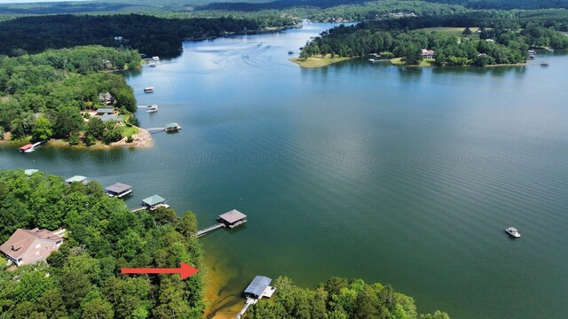 LOT51 Stoney Pt, Double Springs, AL 35553 - photo 8