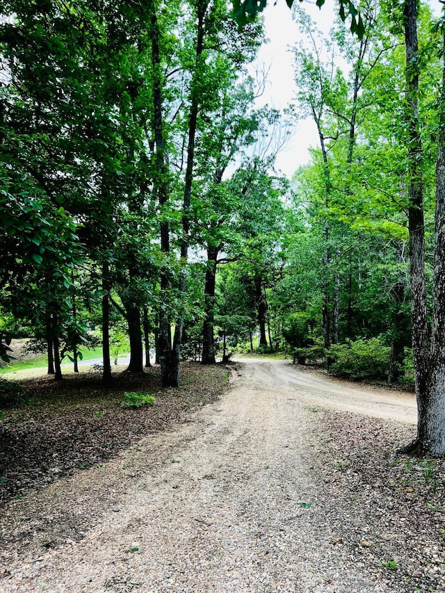 9488 County Road 53 N, Fayette, AL 35555 - photo 32