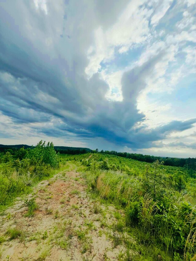 9488 County Road 53 N, Fayette, AL 35555 - photo 47