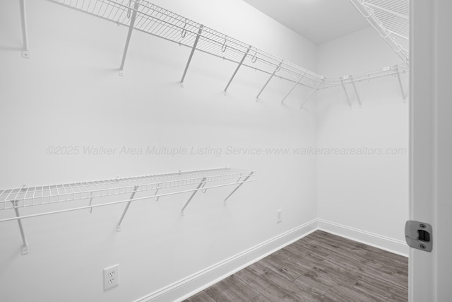 walk in closet with wood finished floors