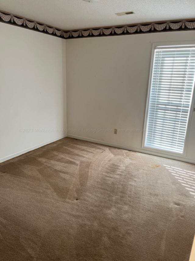 116 Royal Loop, Winfield, AL 35594 - spare room featuring carpet flooring, visible vents, and a textured ceiling