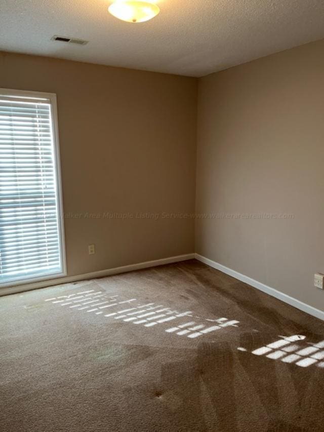 116 Royal Loop, Winfield, AL 35594 - spare room featuring visible vents, carpet, and a textured ceiling