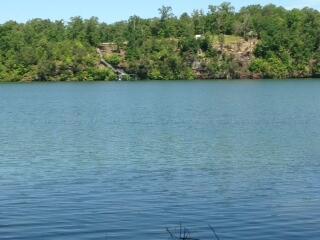 LOT26 Alabtross Way, Arley, AL 35541 - photo 1