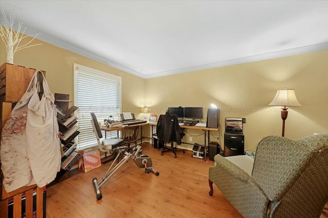 office featuring ornamental molding and wood finished floors
