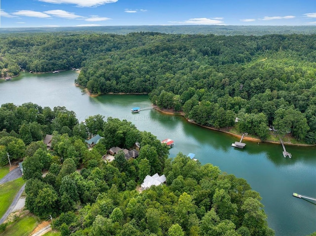 85 County Rd 900, Crane Hill, AL 35053 - photo 44