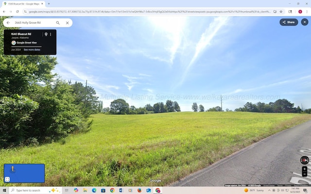 Skyline Dr, Jasper, AL 35501 - photo 4