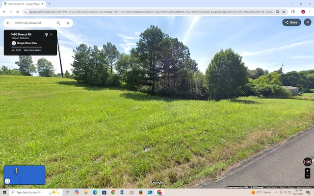 Skyline Dr, Jasper, AL 35501 - photo 3
