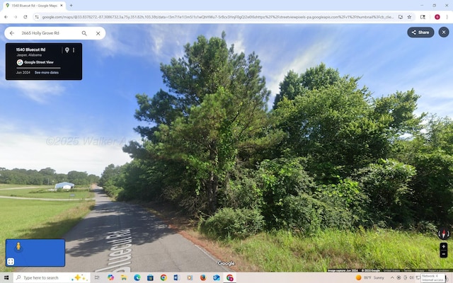 Skyline Dr, Jasper, AL 35501 - photo 5