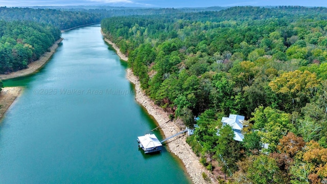 1168 Bull Dr, Double Springs, AL 35553 - photo 33