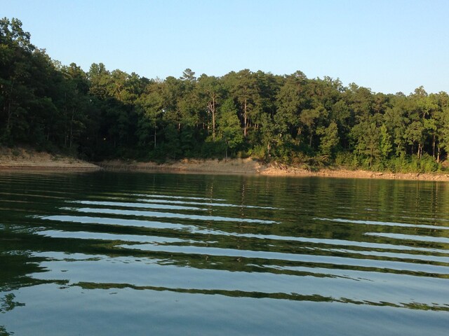 LOT12 Kingfisher Ln, Arley, AL 35541 - photo 3