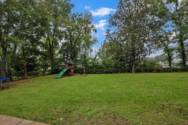 1600 Birmingham Ave, Jasper, AL 35501 - view of grassy yard with a trampoline and a playground