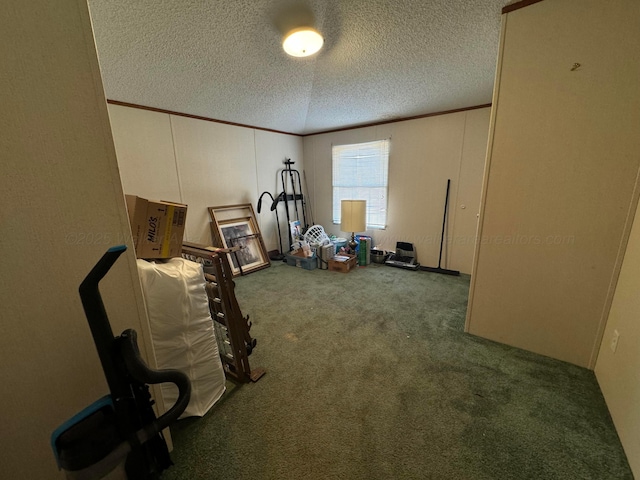 1139 Pumpkin Center Cut Off Rd, Quinton, AL 35130 - exercise room featuring a textured ceiling, carpet flooring, and ornamental molding