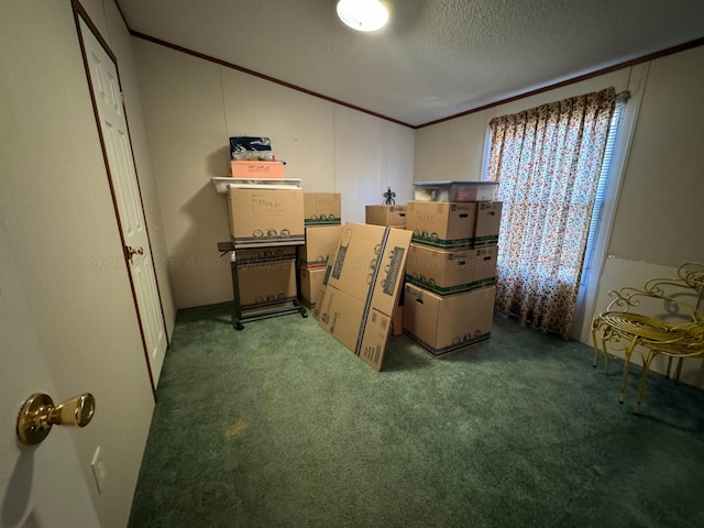 1139 Pumpkin Center Cut Off Rd, Quinton, AL 35130 - view of storage room