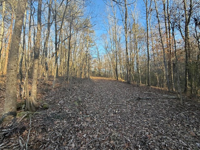 Humber Rd, Dora, AL 35062 - photo 3