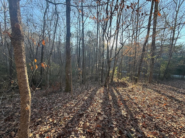 Humber Rd, Dora, AL 35062 - photo 4