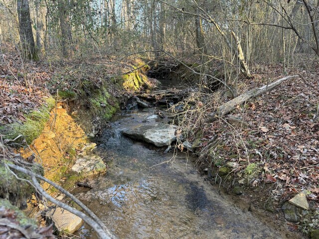 Humber Rd, Dora, AL 35062 - photo 6
