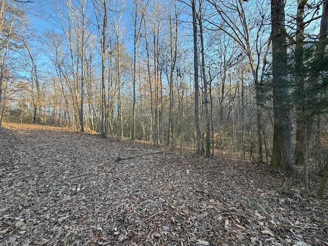 Humber Rd, Dora, AL 35062 - photo 2