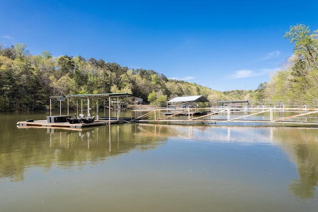 1126 County Road 214, Arley, AL 35541 - photo 16