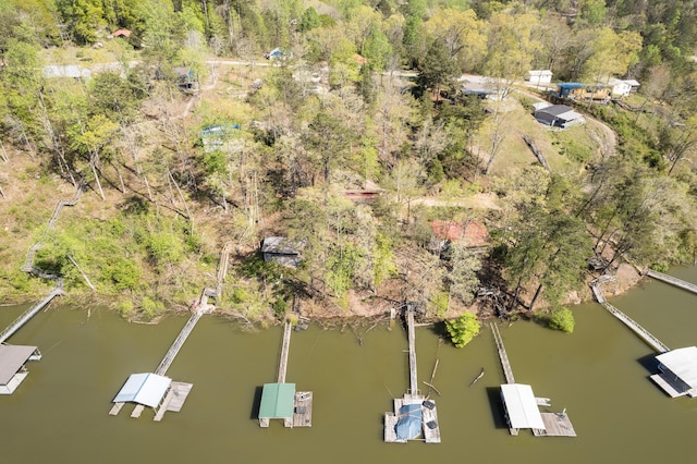 1126 County Road 214, Arley, AL 35541 - photo 18