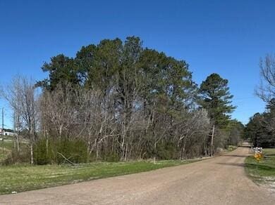 Stella Lockard Rd, Cordova, AL 35550 - photo 1