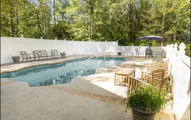 view of pool featuring a patio area