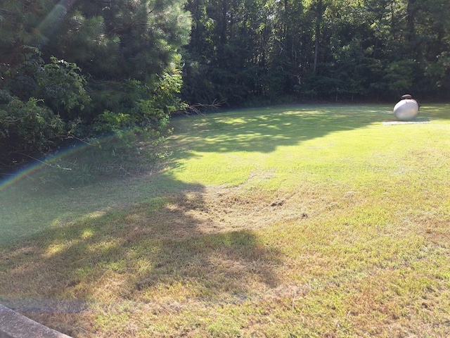 9670 Smith Lake Rd, Jasper, AL 35504 - photo 33