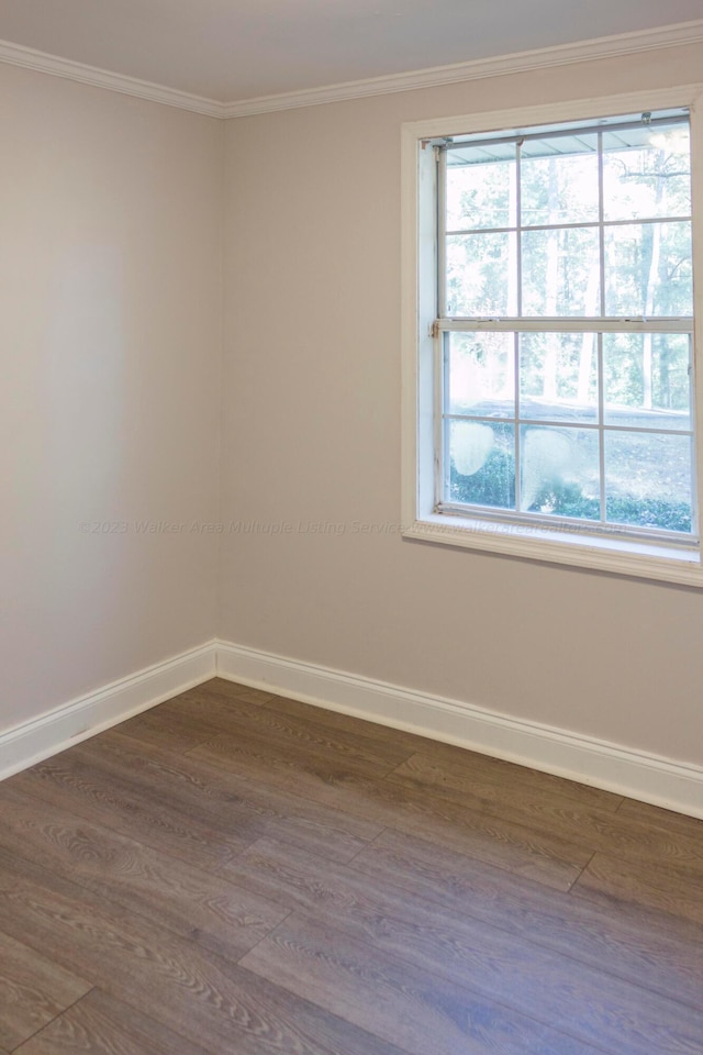 713 Hillsdale Rd, Jasper, AL 35504 - unfurnished room with dark wood-style flooring, crown molding, baseboards, and a wealth of natural light